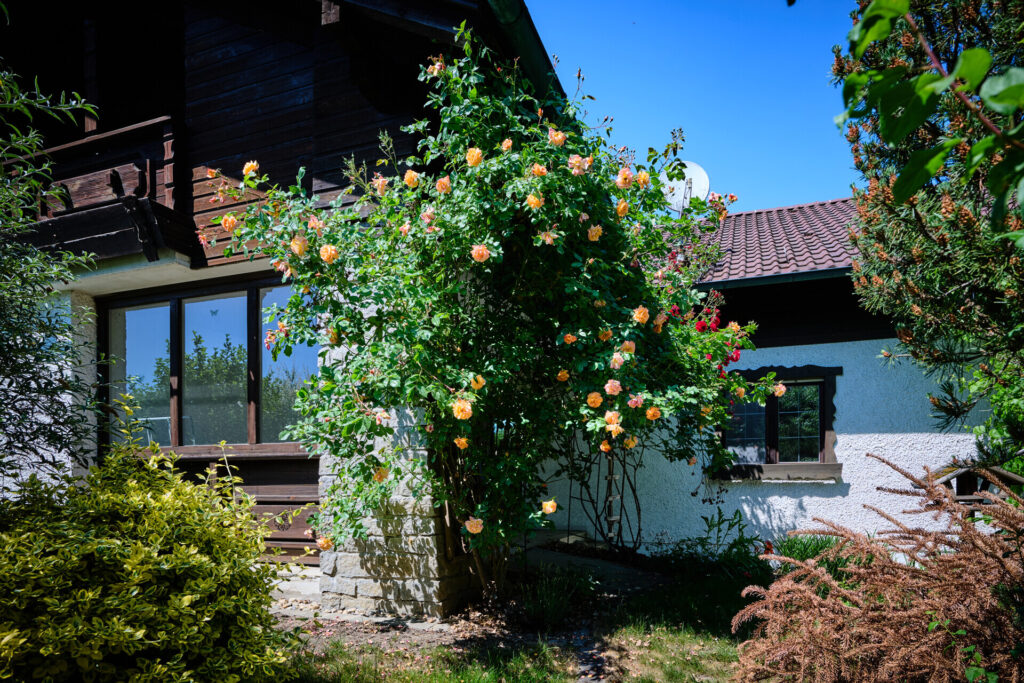 Ein Haus, unzählige Möglichkeiten – 298 m² Wohnfläche auf 1.682 m² Grundstück! — Foto 21